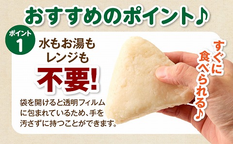 塩おにぎり_M358-001-03