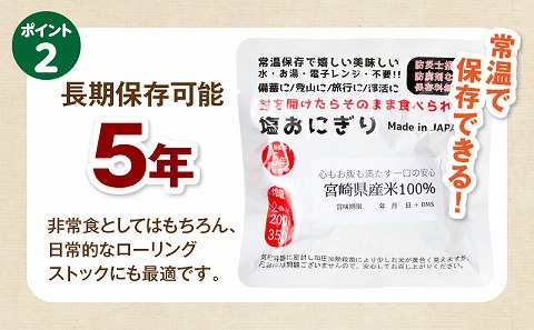 塩おにぎり_M358-001-03