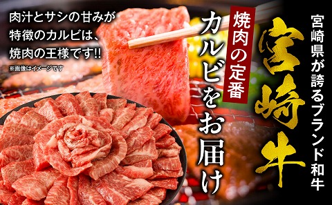 宮崎牛カルビ(バラ)焼肉 合計800g 宮崎牛 ブランド牛 バラ肉 焼肉 焼き肉 スライス バーベキュー BBQ 真空パック 冷凍 カルビ 牛肉_M365-001-03