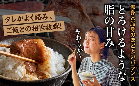 宮崎牛カルビ(バラ)焼肉 合計800g 宮崎牛 ブランド牛 バラ肉 焼肉 焼き肉 スライス バーベキュー BBQ 真空パック 冷凍 カルビ 牛肉_M365-001-03