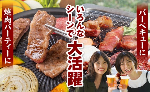宮崎牛カルビ(バラ)焼肉 合計800g 宮崎牛 ブランド牛 バラ肉 焼肉 焼き肉 スライス バーベキュー BBQ 真空パック 冷凍 カルビ 牛肉_M365-001-03