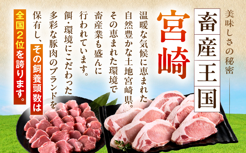 宮崎県産豚肉『とんかつ用』セット(ロース・ヒレ)合計2kg_M365-004