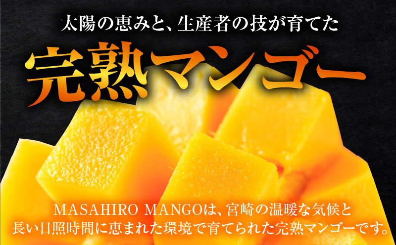 《2026年発送先行予約》【数量・期間限定】【農家直送】MASAHIRO MANGO 宮崎県産完熟マンゴー 2Lサイズ×2玉 完熟マンゴー マンゴー 果物_M380-001-01