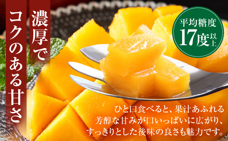 《2026年発送先行予約》【数量・期間限定】【農家直送】MASAHIRO MANGO 宮崎県産完熟マンゴー 2Lサイズ×2玉 完熟マンゴー マンゴー 果物_M380-001-01