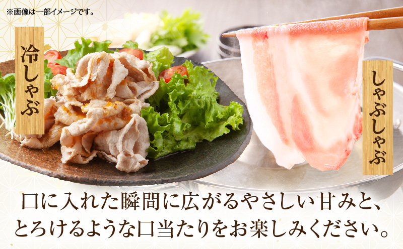 ãæŸç§åè±ãããŒã¹èé§ã¹ã©ã€ã¹ ããã¶ããã¶çš 300g è±è è ãè è± ã¹ã©ã€ã¹ ããŒã¹è ã¹ã©ã€ã¹è èåã ããŒã¹ è±ããŒã¹ ããã¶ããã¶ é éæç å·ããã¶ ãã㯠å·å ç空ããã¯_M387-001