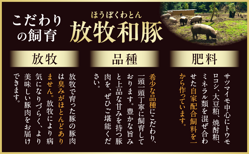 ãå
š12åããæŸç§åè±ãå³éžé£ã¹ã€ããå®æäŸ¿_M387-T007-12-1