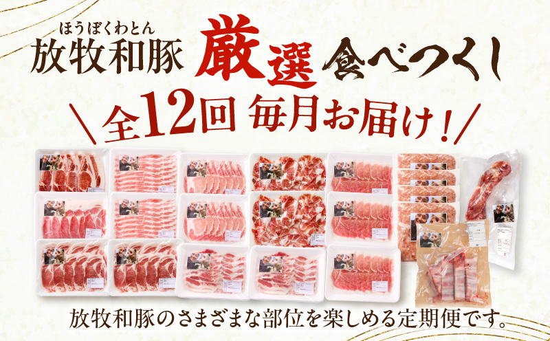 ãå
š12åããæŸç§åè±ãå³éžé£ã¹ã€ããå®æäŸ¿_M387-T007-12-1