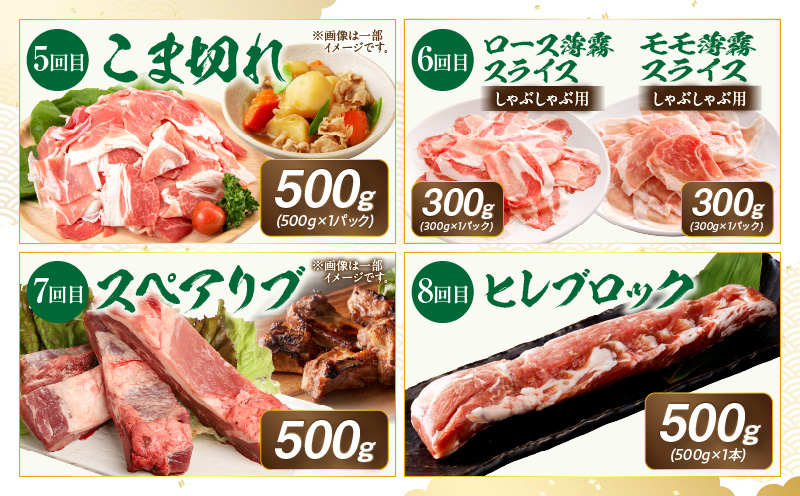 ãå
š12åããæŸç§åè±ãå³éžé£ã¹ã€ããå®æäŸ¿_M387-T007-12-1