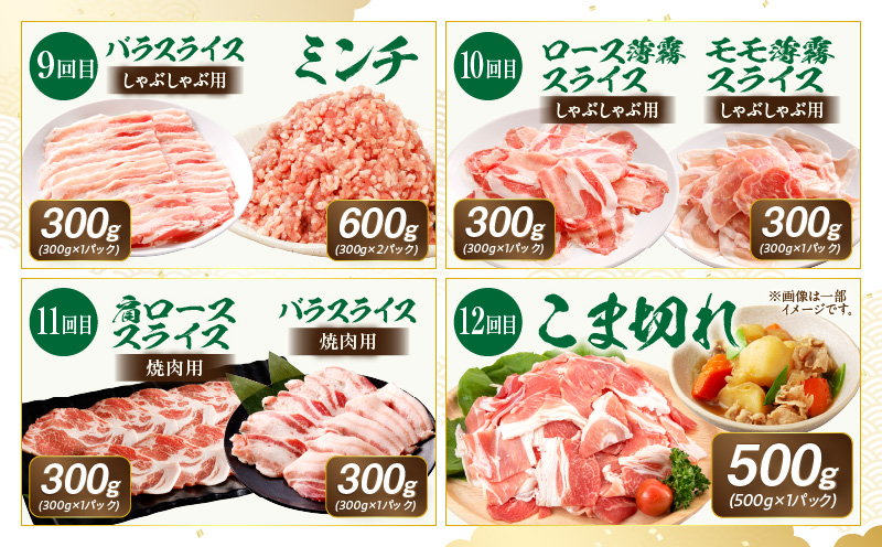 ãå
š12åããæŸç§åè±ãå³éžé£ã¹ã€ããå®æäŸ¿_M387-T007-12-1