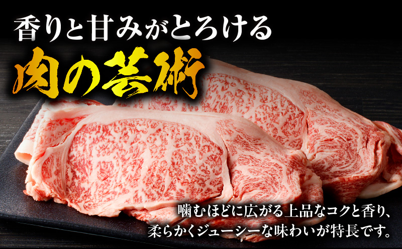 宮崎牛肩ローススライス焼肉用1kg ロース 和牛 焼き肉_M389-003