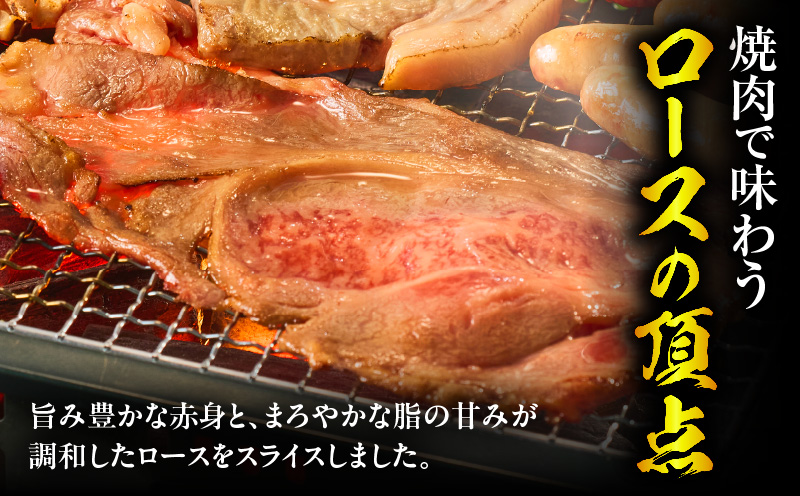 å®®åŽçããŒã¹å€§å€ã¹ã©ã€ã¹çŒèçš500g ããŒã¹ 倧å€ãµã€ãº çŒãè_M389-004
