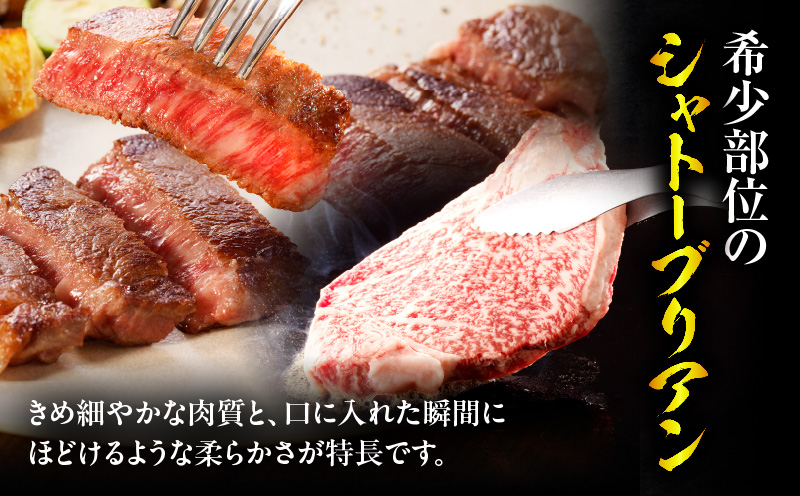 宮崎牛シャトーブリアンステーキ2枚 合計300g ステーキ 和牛 シャトーブリアン_M389-005