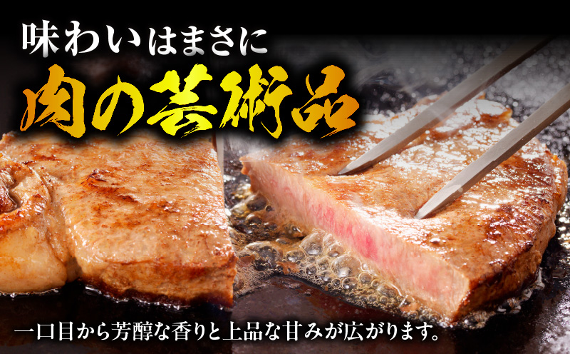 宮崎牛シャトーブリアンステーキ2枚 合計300g ステーキ 和牛 シャトーブリアン_M389-005