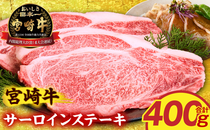 宮崎牛サーロインステーキ2枚 合計400g_M389-007-01