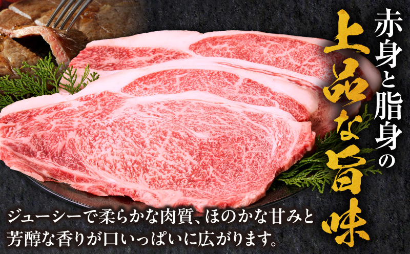 å®®åŽçãµãŒãã€ã³ã¹ããŒã3æ åèš600g ãã©ã³ãç å®®åŽç ãµãŒãã€ã³ ã¹ããŒã ã¹ããŒã䞌 ã«ãã¬ã çè ãè_M389-007-02