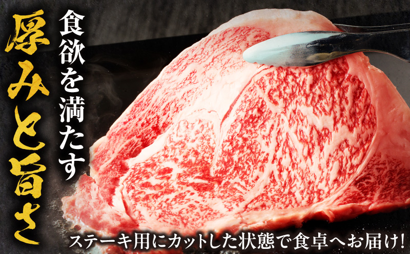 å®®åŽçãµãŒãã€ã³ã¹ããŒã3æ åèš600g ãã©ã³ãç å®®åŽç ãµãŒãã€ã³ ã¹ããŒã ã¹ããŒã䞌 ã«ãã¬ã çè ãè_M389-007-02