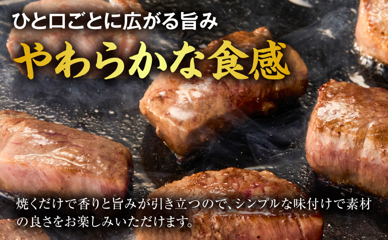 宮崎牛赤身サイコロステーキ 600g 和牛 ステーキ カット済_M389-011