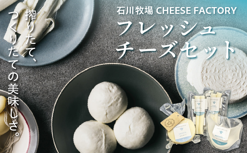 ç³å·ç§å Ž CHEESE FACTORY ãã¬ãã·ã¥ããŒãºã»ãã ã¢ããã¡ã¬ã© ã«ãã§ãã¿ ããŒãº _M393-001