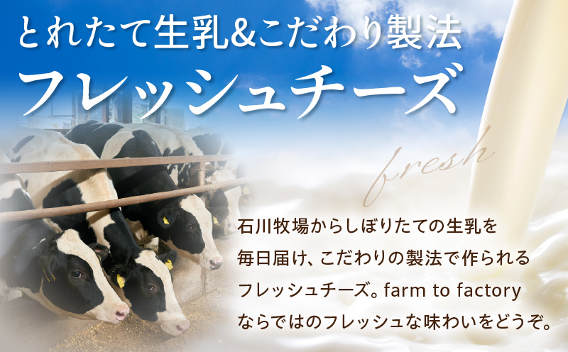 ç³å·ç§å Ž CHEESE FACTORY ãã¬ãã·ã¥ããŒãºã»ãã ã¢ããã¡ã¬ã© ã«ãã§ãã¿ ããŒãº _M393-001