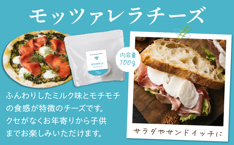 ç³å·ç§å Ž CHEESE FACTORY ãã¬ãã·ã¥ããŒãºã»ãã ã¢ããã¡ã¬ã© ã«ãã§ãã¿ ããŒãº _M393-001