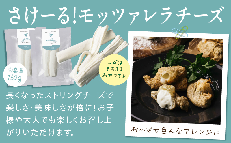 ç³å·ç§å Ž CHEESE FACTORY ãã¬ãã·ã¥ããŒãºã»ãã ã¢ããã¡ã¬ã© ã«ãã§ãã¿ ããŒãº _M393-001