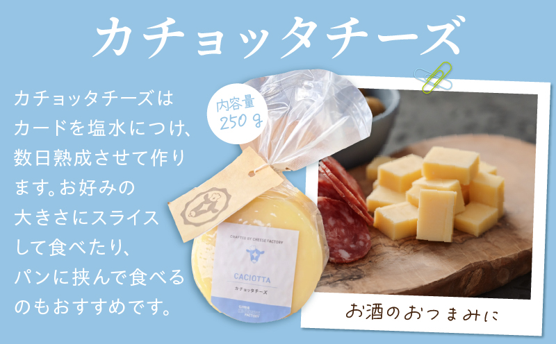 ç³å·ç§å Ž CHEESE FACTORY ãã¬ãã·ã¥ããŒãºã»ãã ã¢ããã¡ã¬ã© ã«ãã§ãã¿ ããŒãº _M393-001