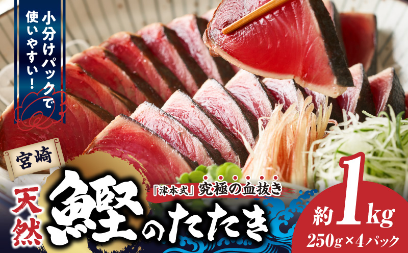 宮崎市獲れ！天然カツオのたたき カツオ タタキ 魚_M396-001
