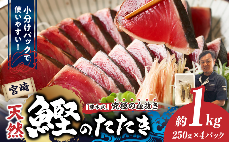 宮崎市獲れ！天然カツオのたたき カツオ タタキ 魚_M396-001