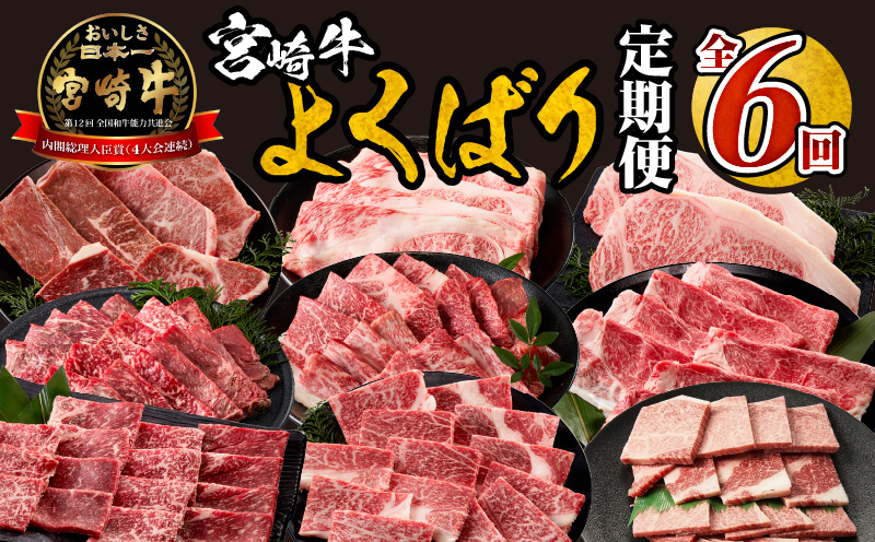 宮崎牛よくばり定期便全6回 ステーキ 焼肉 スライス_M399-T001-6-1