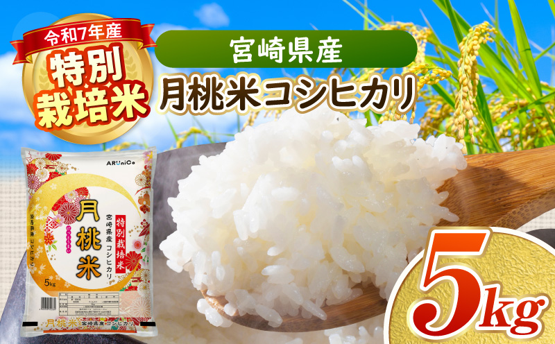 縲贋サ、蜥7蟷エ逕」縲狗音蛻・譬ス蝓ケ邀ウ 螳ョ蟠守恁逕」譛域。邀ウ繧ウ繧キ繝偵き繝ェ 縺顔アウ 邀ウ 逋ス邀ウ_M409-001
