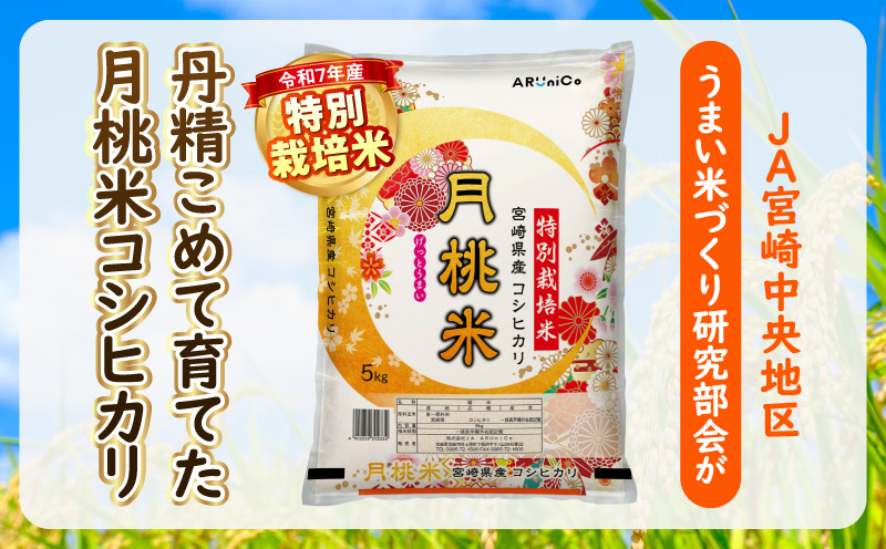 縲贋サ、蜥7蟷エ逕」縲狗音蛻・譬ス蝓ケ邀ウ 螳ョ蟠守恁逕」譛域。邀ウ繧ウ繧キ繝偵き繝ェ 縺顔アウ 邀ウ 逋ス邀ウ_M409-001
