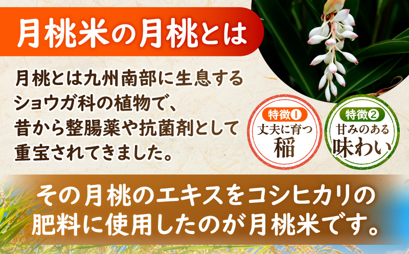 縲贋サ、蜥7蟷エ逕」縲狗音蛻・譬ス蝓ケ邀ウ 螳ョ蟠守恁逕」譛域。邀ウ繧ウ繧キ繝偵き繝ェ 縺顔アウ 邀ウ 逋ス邀ウ_M409-001