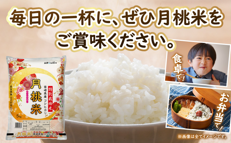 縲贋サ、蜥7蟷エ逕」縲狗音蛻・譬ス蝓ケ邀ウ 螳ョ蟠守恁逕」譛域。邀ウ繧ウ繧キ繝偵き繝ェ 縺顔アウ 邀ウ 逋ス邀ウ_M409-001