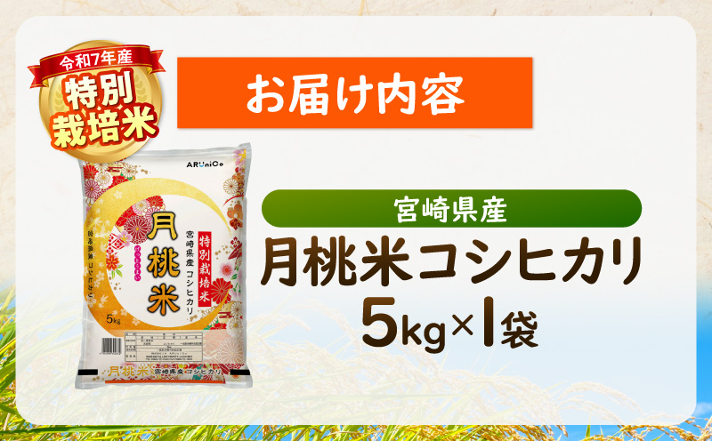 縲贋サ、蜥7蟷エ逕」縲狗音蛻・譬ス蝓ケ邀ウ 螳ョ蟠守恁逕」譛域。邀ウ繧ウ繧キ繝偵き繝ェ 縺顔アウ 邀ウ 逋ス邀ウ_M409-001