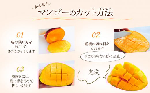《2026年発送》【数量・期間限定】【訳あり】 完熟マンゴー 合計約1kg (2～3玉) 国産 マンゴー 1kg 完熟 濃厚 家庭用 訳あり品 訳あり 果物 フルーツ デザート スイーツ グルメ_M126-026