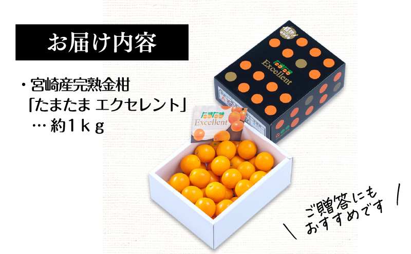 《2025年発送先行予約》【期間・数量限定】完熟金柑たまたまエクセレント 約1kg_M184-015