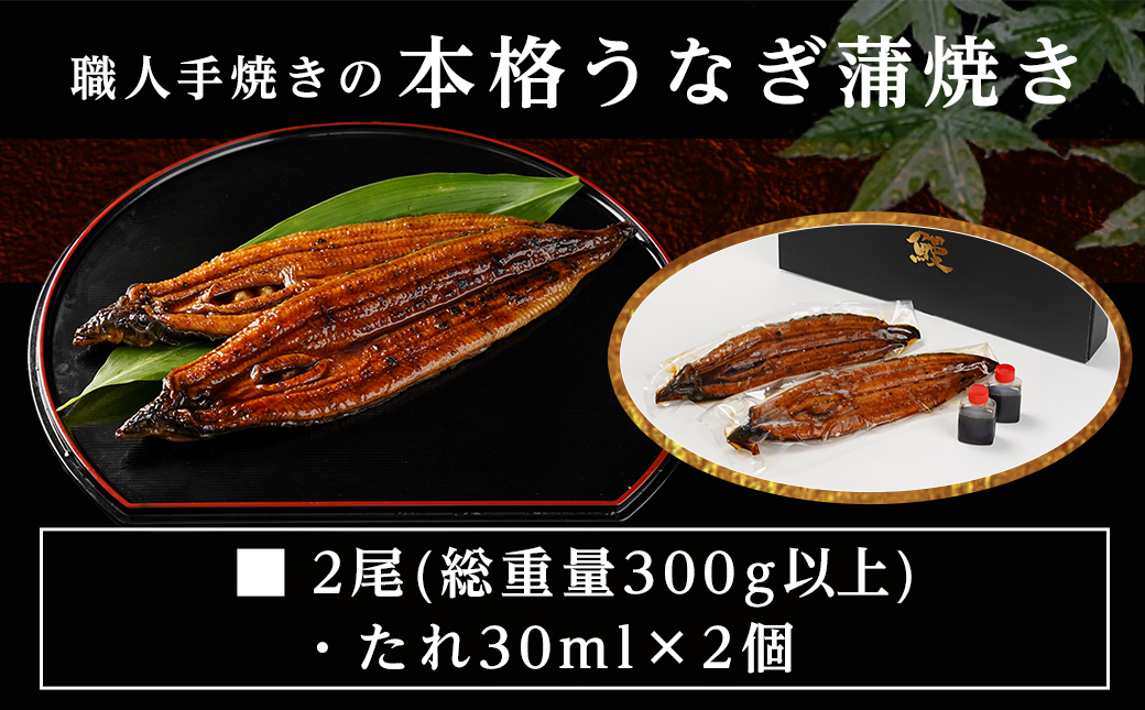 【丑の日】職人手焼きの本格うなぎ蒲焼き2尾≪7月20日～25日お届け≫_MJ-33-003-2-UG 