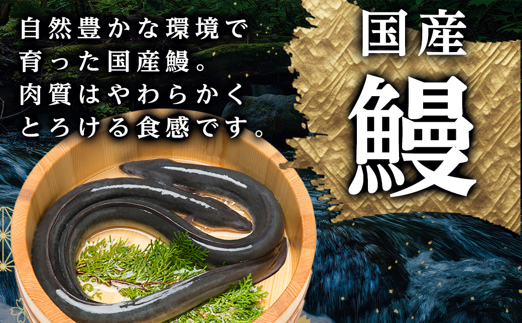 【丑の日】職人手焼きの本格うなぎ蒲焼き2尾≪7月20日～25日お届け≫_MJ-33-003-2-UG 