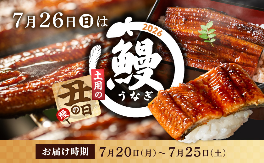 【丑の日】職人手焼きの本格うなぎ蒲焼き2尾≪7月20日～25日お届け≫_MJ-33-003-2-UG 