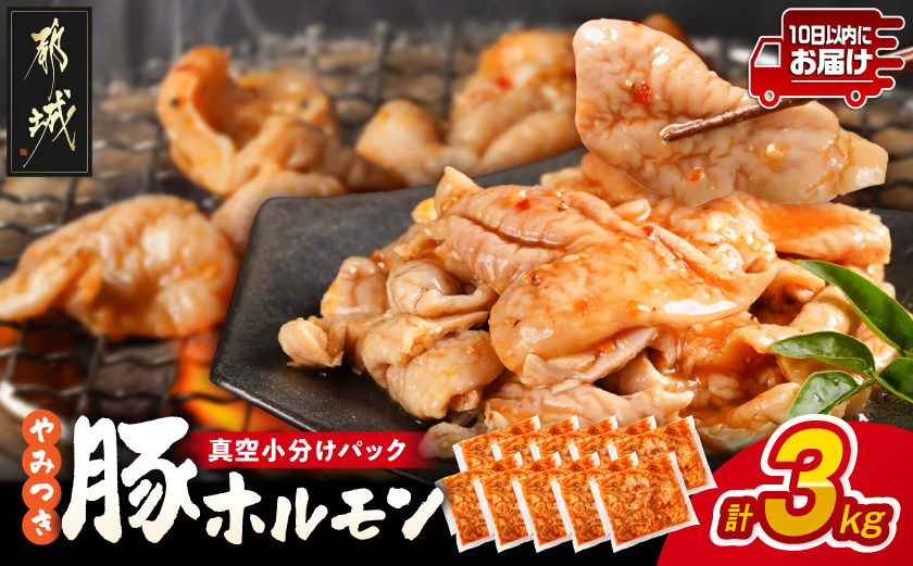 やみつき豚ホルモン!3kg!真空小分けパック!≪みやこんじょ特急便≫_LG8-3303-Q_(都城市) 国産豚 ホルモン 味付き 300g×10P 3kg 小分け 真空パック 豚肉