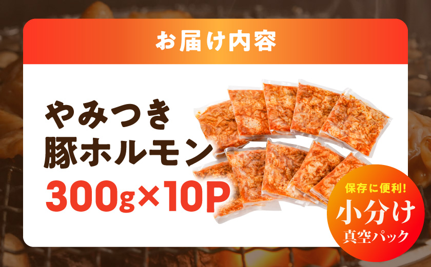 やみつき豚ホルモン!3kg!真空小分けパック!≪みやこんじょ特急便≫_LG8-3303-Q_(都城市) 国産豚 ホルモン 味付き 300g×10P 3kg 小分け 真空パック 豚肉