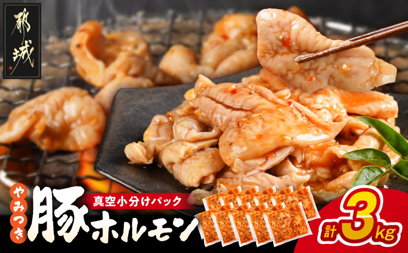 やみつき豚ホルモン!3kg!真空小分けパック!_LG8-3303_(都城市) 国産豚 ホルモン 味付き 300g 10P 3kg 小分け 真空パック おつまみ 焼くだけ 簡単調理 豚肉