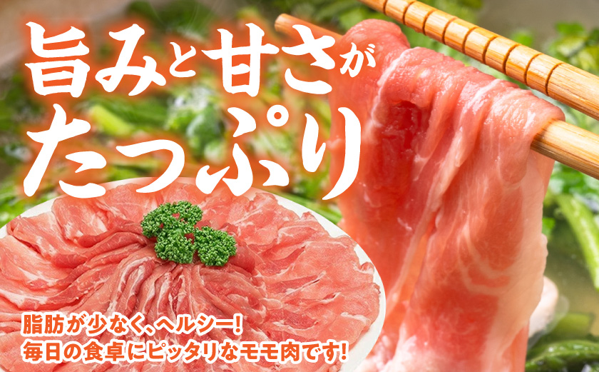 縲悟燕逕ー縺輔s螳カ縺ョ繧ケ繧ヲ繧」繝シ繝医昴シ繧ッ縲阪@繧縺カ縺励c縺カ5kg_17-8904_ (驛ス蝓主ク) 驛ス蝓守肇雎 繝悶Λ繝ウ繝芽ア 雎夊i 繝「繝「 縺励c縺カ縺励c縺カ 繧ケ繝ゥ繧、繧ケ 蜀キ蜃榊ー丞縺 500gテ10繝代ャ繧ッ 蜷郁ィ5繧ュ繝ュ