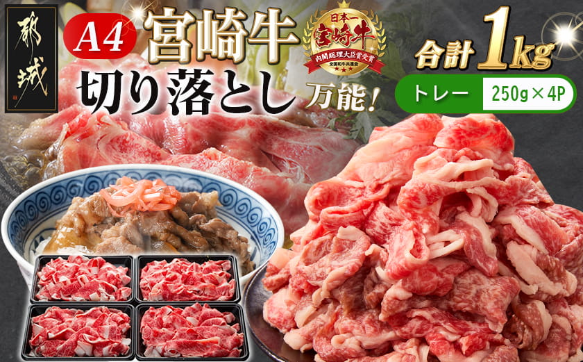 宮崎牛切り落とし1kg_MJ-8908_(都城市) 宮崎県産 宮崎牛 牛肉 A4ランク 切り落とし 切落し 250g × 4パック 小分け  1kg 牛丼 炒め物 便利