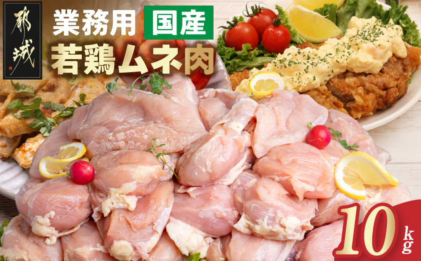 縲先・ュ蜍咏畑縲大嵜逕」闍・鮓上Β繝崎i10kg_18-15-010-10kg