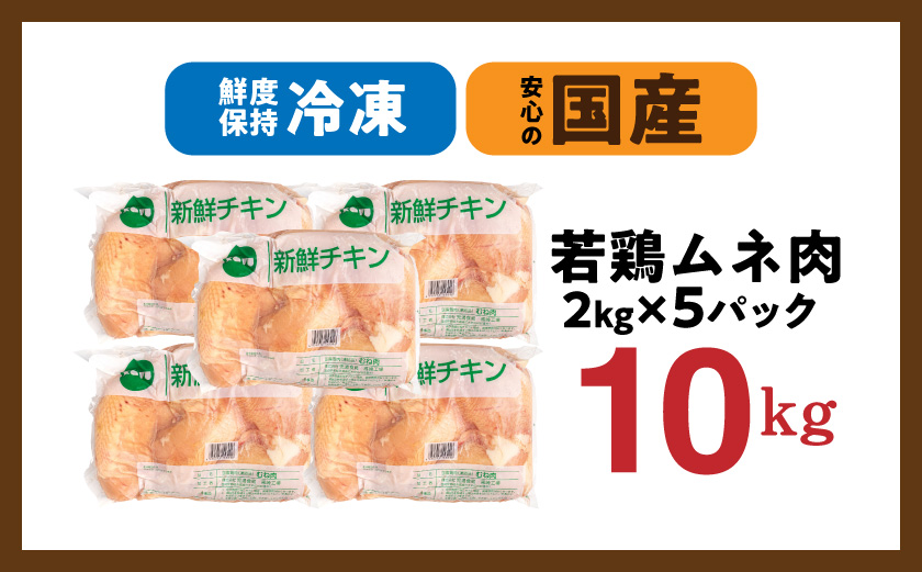 縲先・ュ蜍咏畑縲大嵜逕」闍・鮓上Β繝崎i10kg_18-15-010-10kg