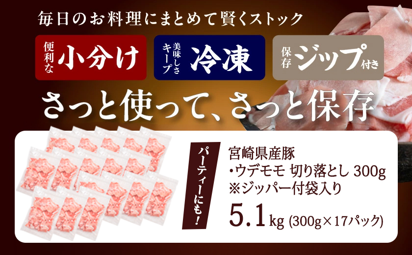 宮崎県産豚切り落とし5.1kg(ジッパー付袋入り)_18-1507