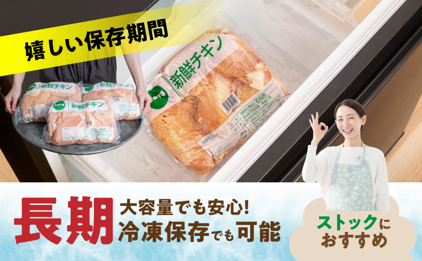 縲先・ュ蜍咏畑縲大嵜逕」闍・鮓上Β繝崎i10kg_18-15-010-10kg