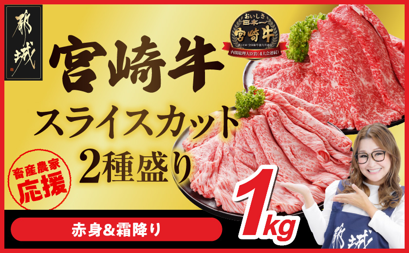 畜産農家応援! 宮崎牛スライス2種セット500g×2パック_19E-N2-001-1000
