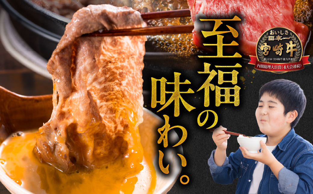 畜産農家応援! 宮崎牛スライス2種セット500g×2パック_19E-N2-001-1000